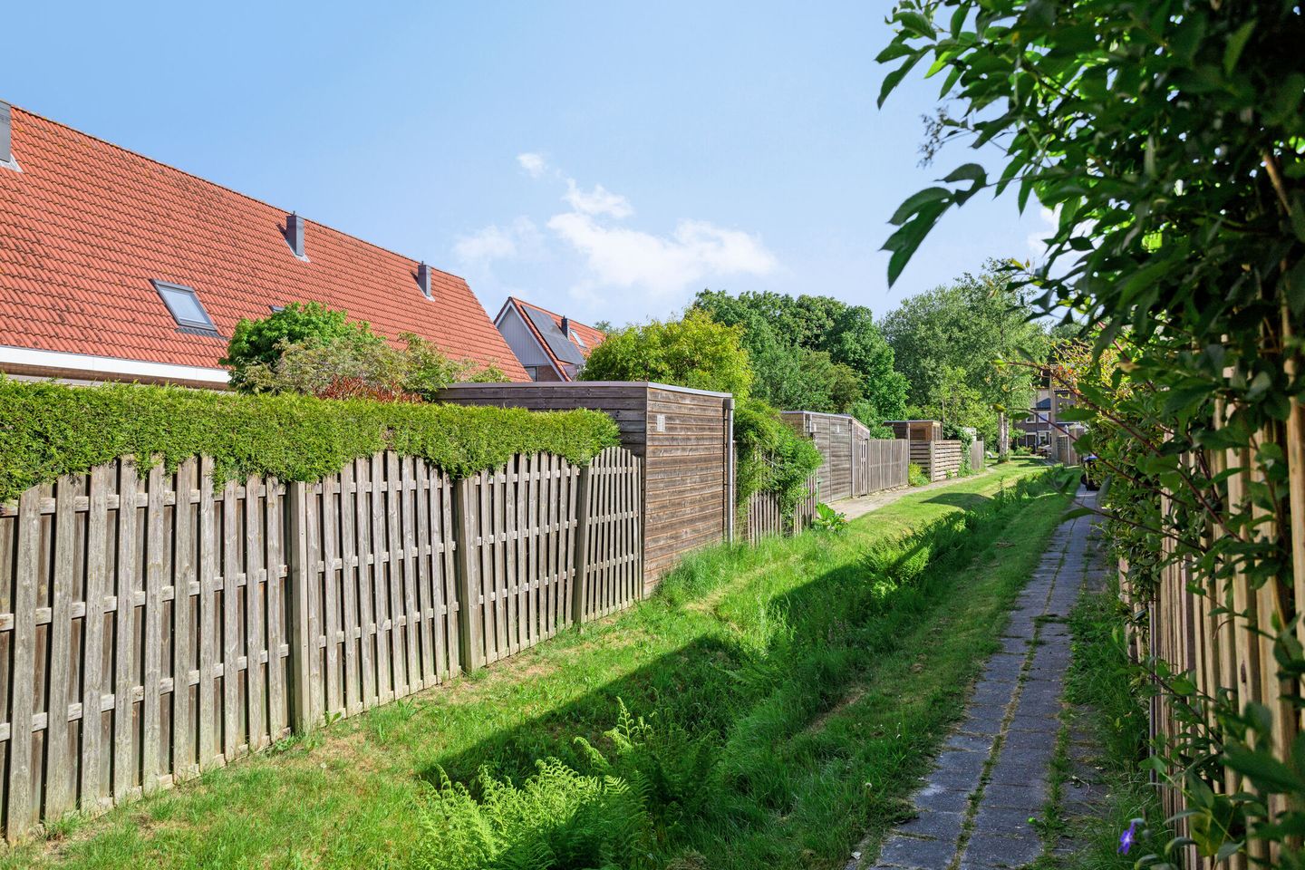 Foto 50 van Laagveld 80