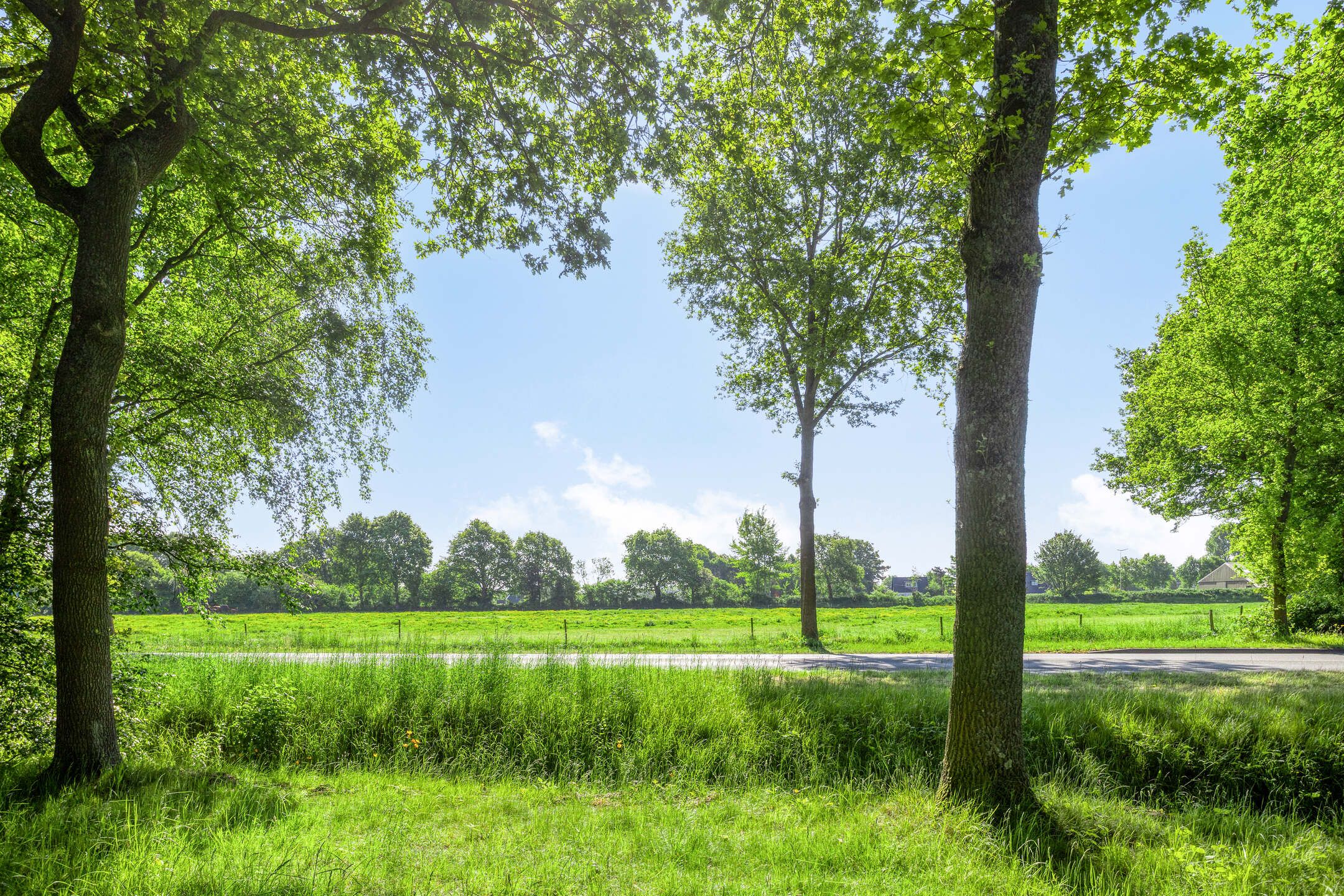 Foto 54 van Laagveld 80