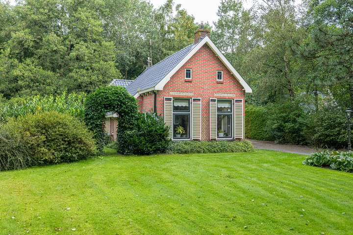 Foto 2 van Wyldpaed 8