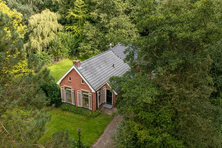 Foto 3 van Wyldpaed 8