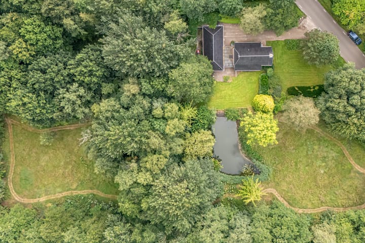 Foto 5 van Wyldpaed 8