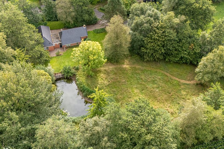 Photo 6 of Wyldpaed 8