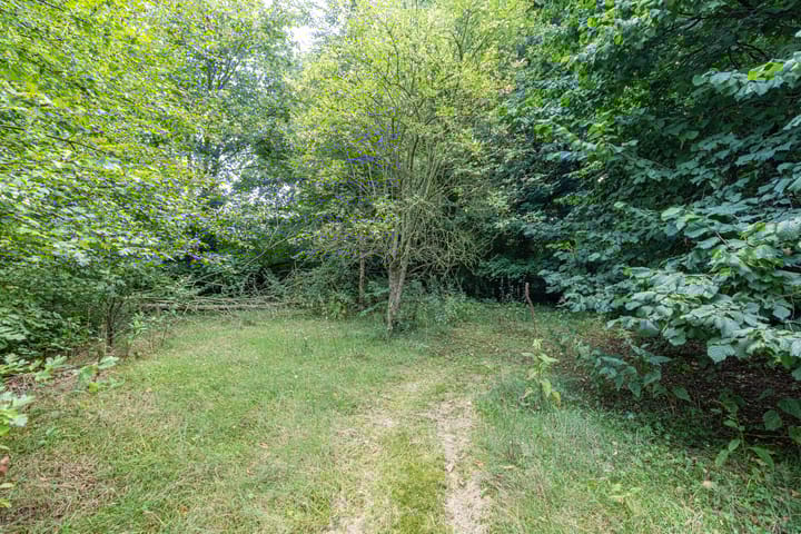 Photo 10 of Wyldpaed 8