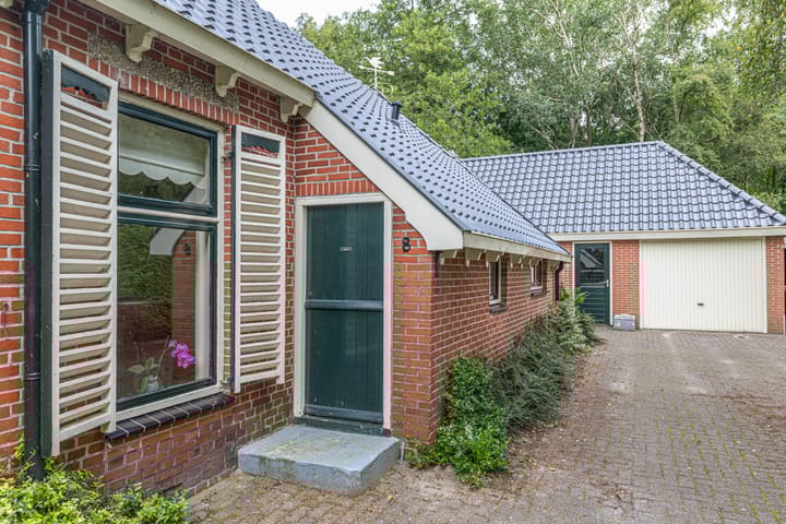 Photo 15 of Wyldpaed 8