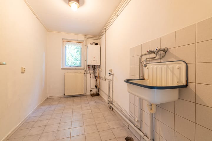 Photo 34 of Wyldpaed 8