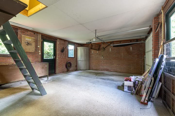 Photo 35 of Wyldpaed 8