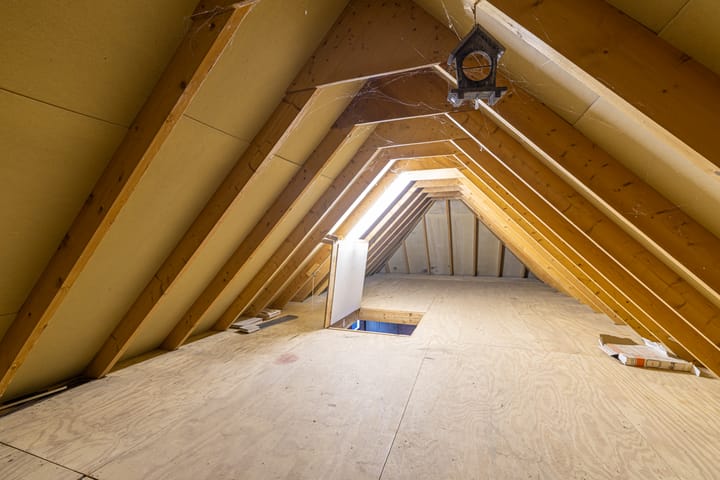 Photo 37 of Wyldpaed 8