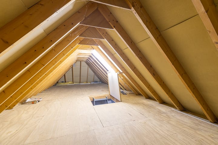 Photo 38 of Wyldpaed 8