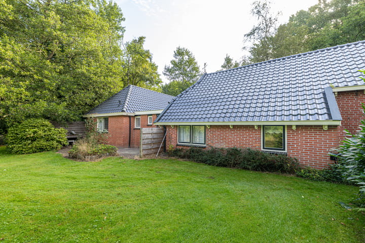 Photo 40 of Wyldpaed 8