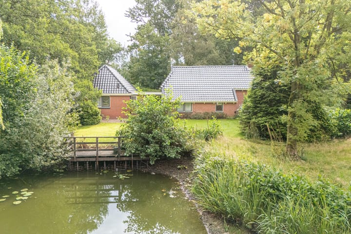 Photo 41 of Wyldpaed 8