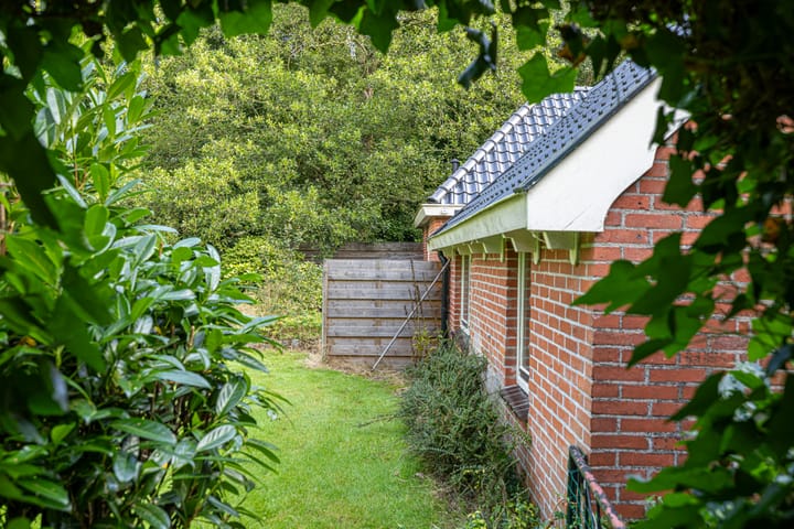 Photo 42 of Wyldpaed 8