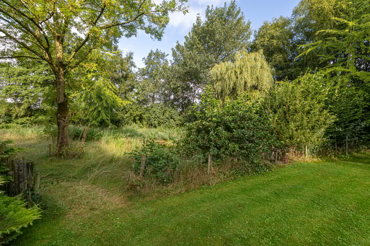 Photo 46 of Wyldpaed 8