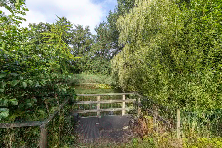 Photo 47 of Wyldpaed 8