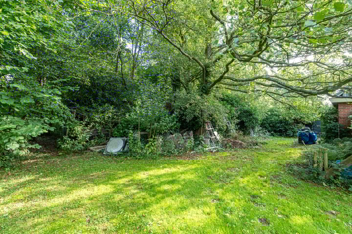 Photo 48 of Wyldpaed 8