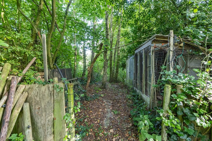 Photo 49 of Wyldpaed 8