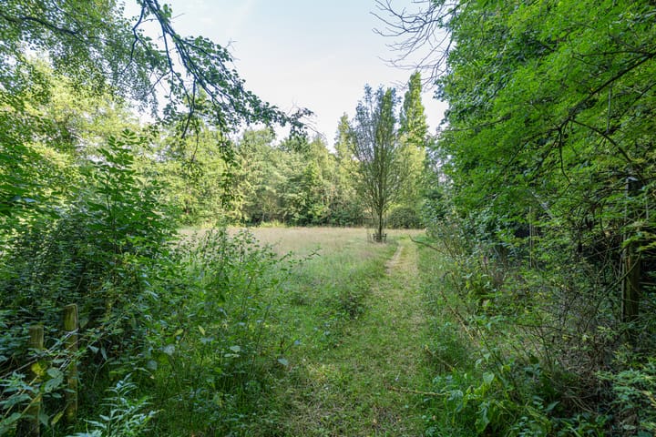 Photo 50 of Wyldpaed 8