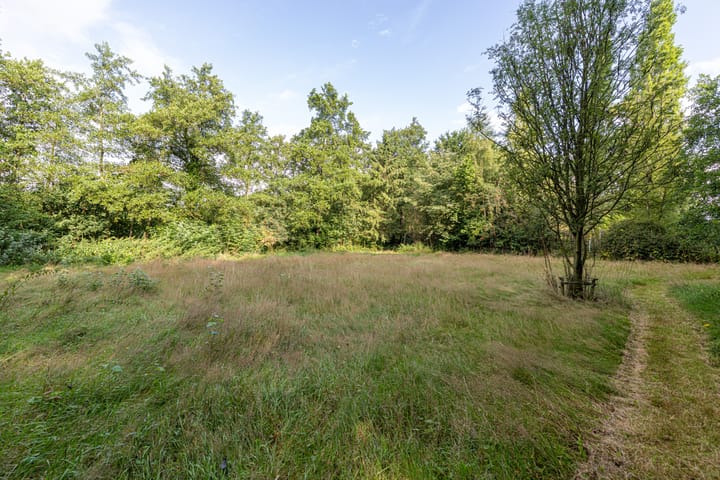 Photo 51 of Wyldpaed 8