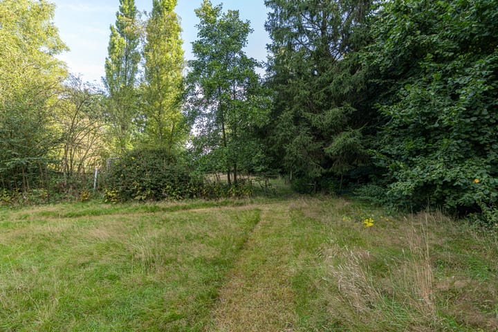 Photo 52 of Wyldpaed 8