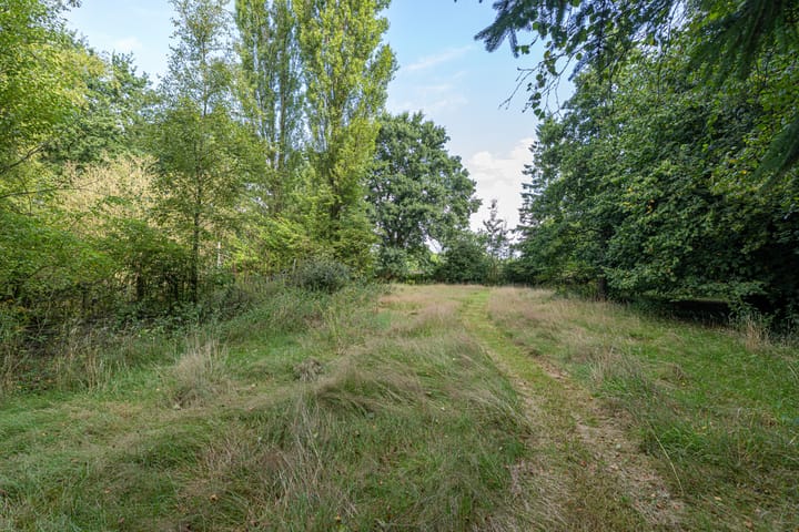 Photo 53 of Wyldpaed 8