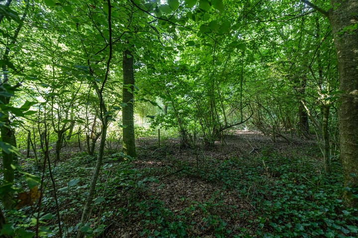 Photo 56 of Wyldpaed 8