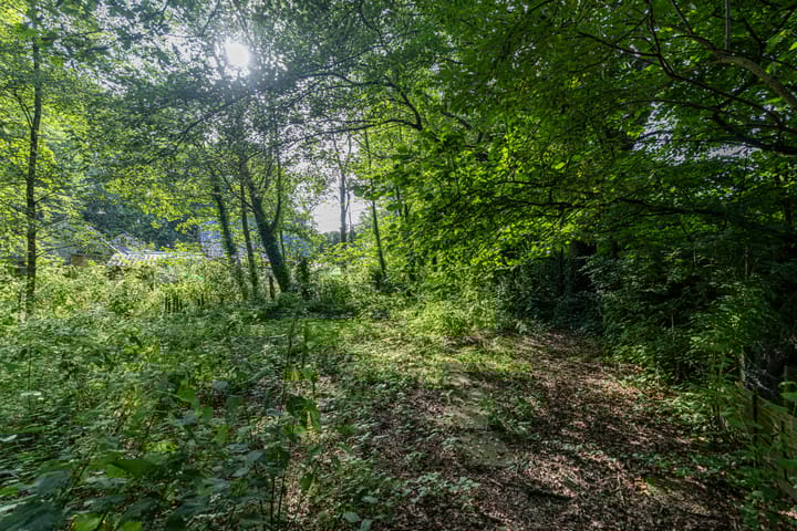 Photo 58 of Wyldpaed 8