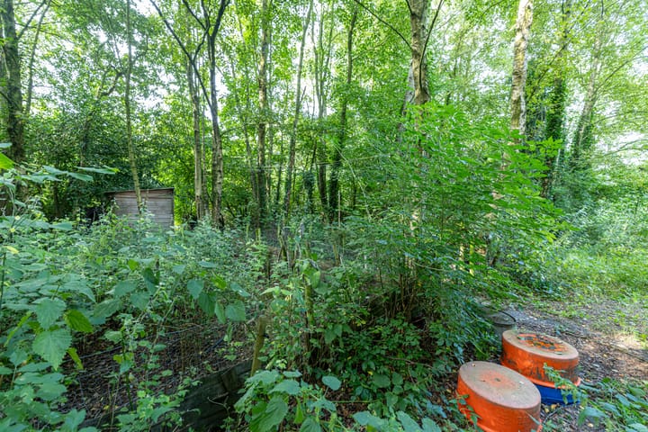 Photo 59 of Wyldpaed 8