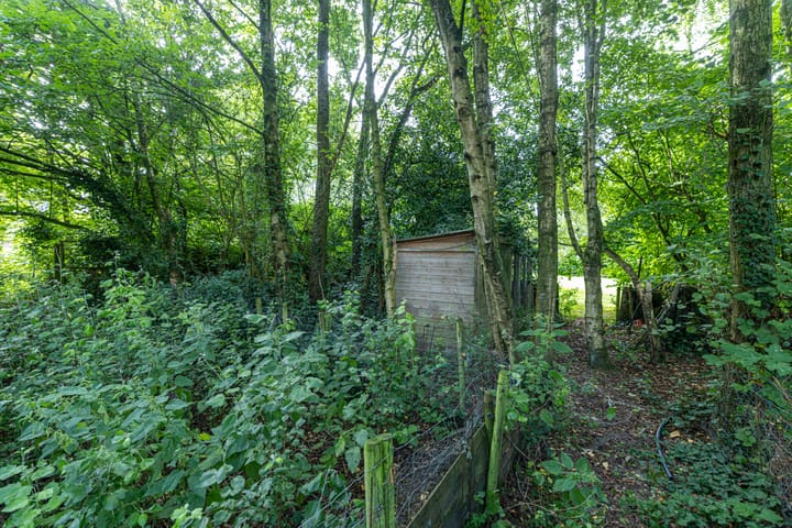 Photo 60 of Wyldpaed 8