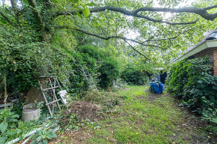 Photo 61 of Wyldpaed 8