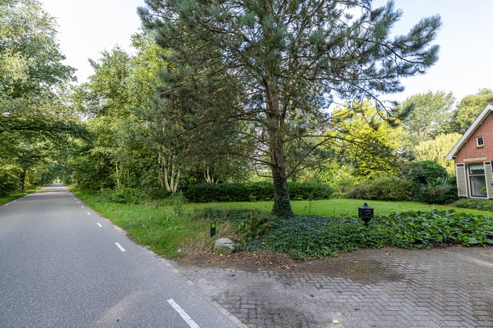 Photo 62 of Wyldpaed 8