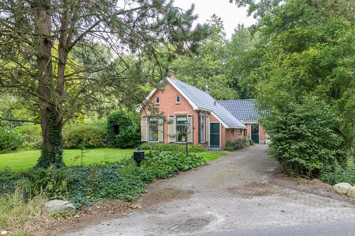 Photo 63 of Wyldpaed 8