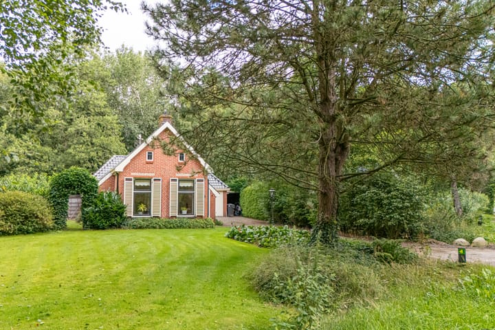 Photo 64 of Wyldpaed 8