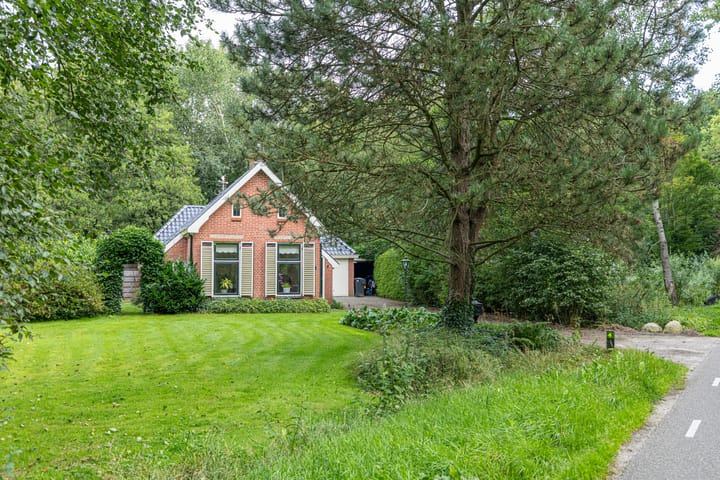 Photo 65 of Wyldpaed 8