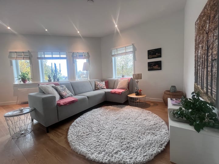 Photo 2 of Pieter Nieuwlandstraat 115-B