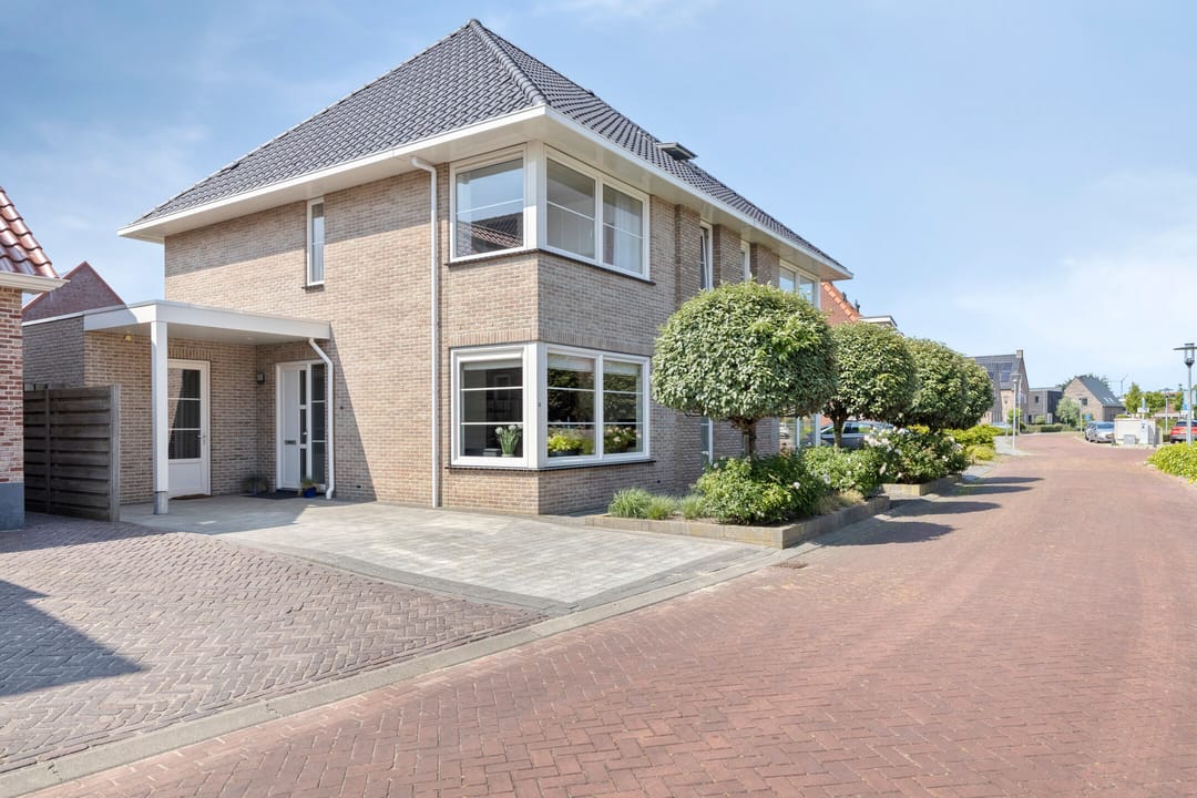 Foto 1 van Nieuwe Land 36