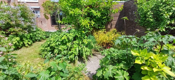 Photo 34 of St. Jansstraat 1