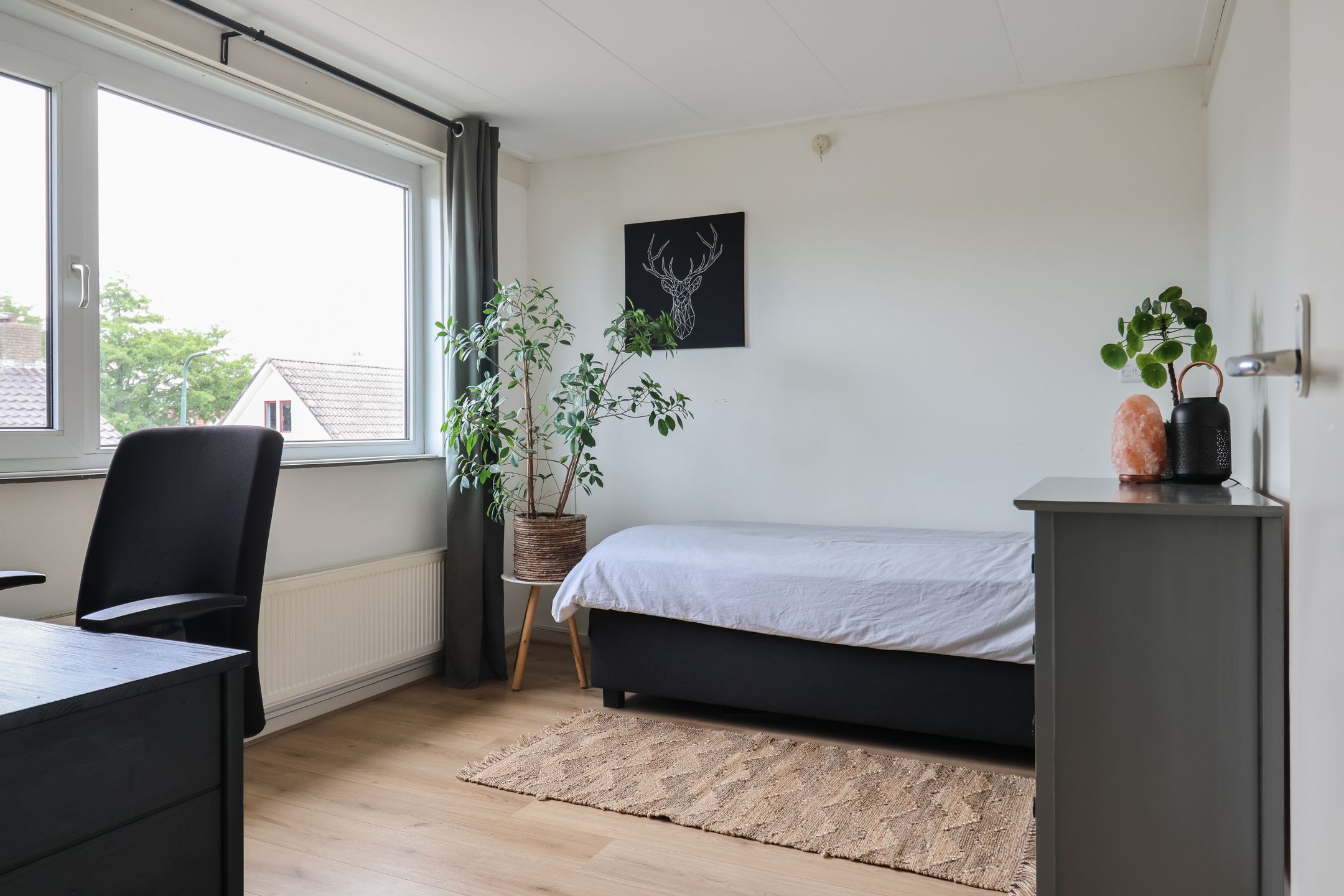 Foto 18 van Willem Westrastrjitte 4