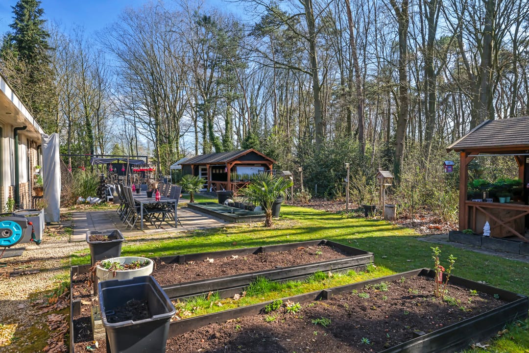 Foto 62 van Elzenhage 8