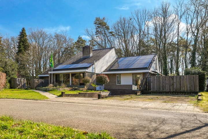 Foto 89 van Elzenhage 8