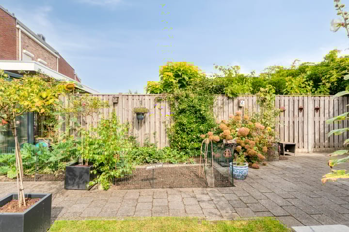 Foto 54 van Schoutenhof 21