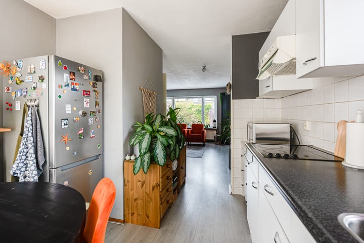 Foto 12 van Herman de Manhove 56