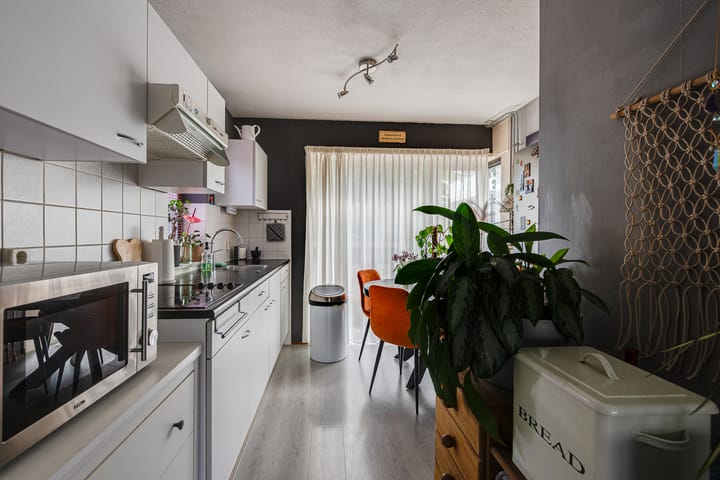 Foto 11 van Herman de Manhove 56