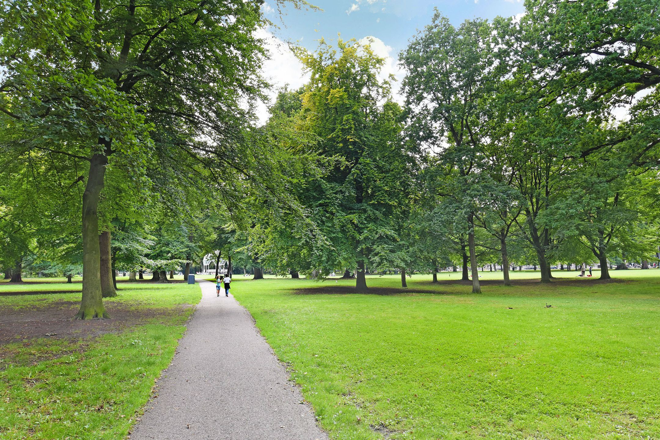 Foto 36 van Kamperlaan 102