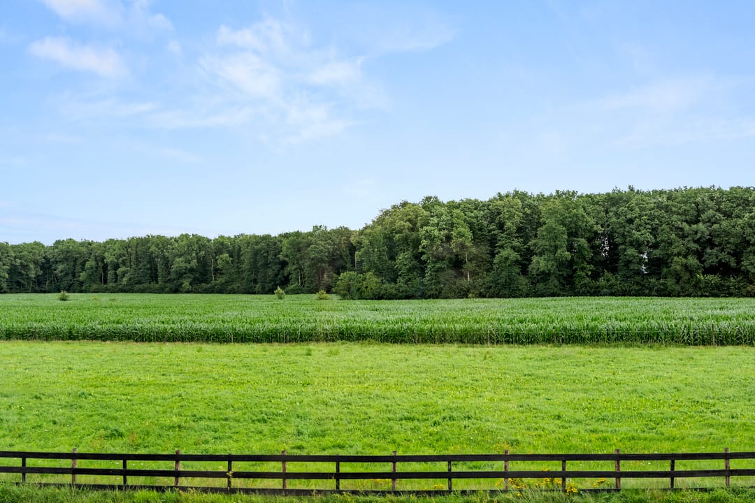 Foto 2 van Dr. H.C. Bosstraat 43