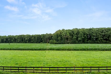 Dr. H.C. Bosstraat 43 secondary image