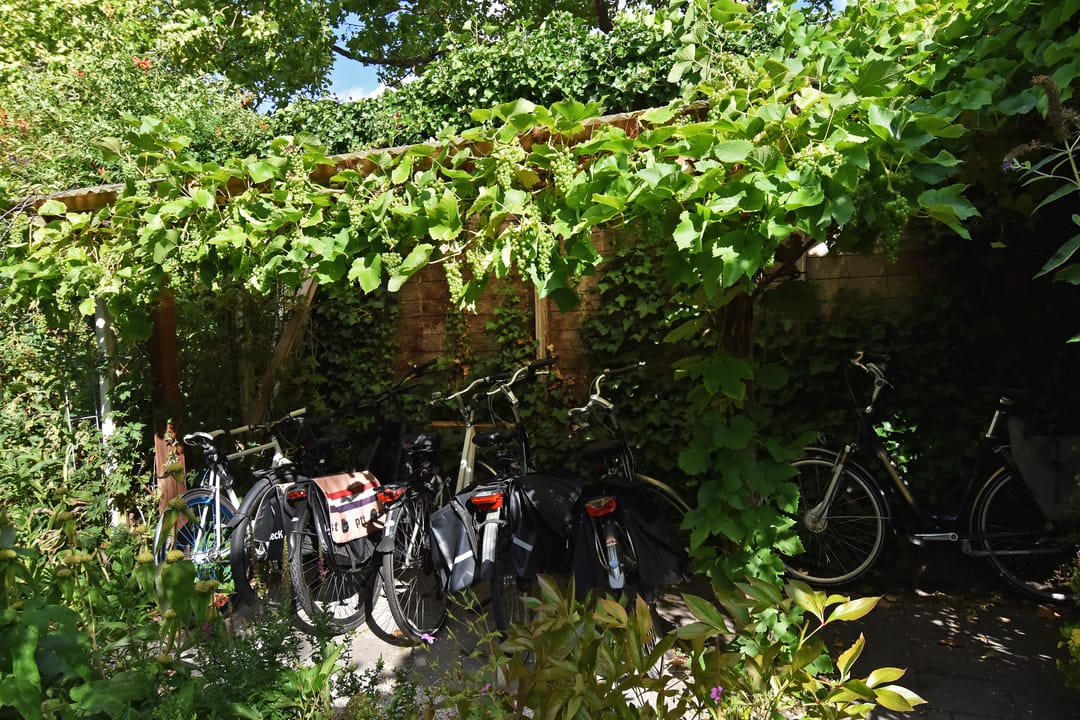 Foto 38 van Rotterdamseweg 1