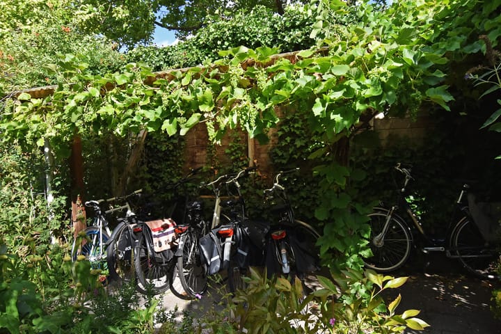 Foto 38 van Rotterdamseweg 1