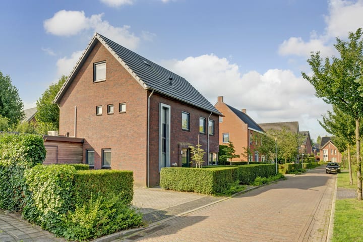 Foto 41 van Romein 10