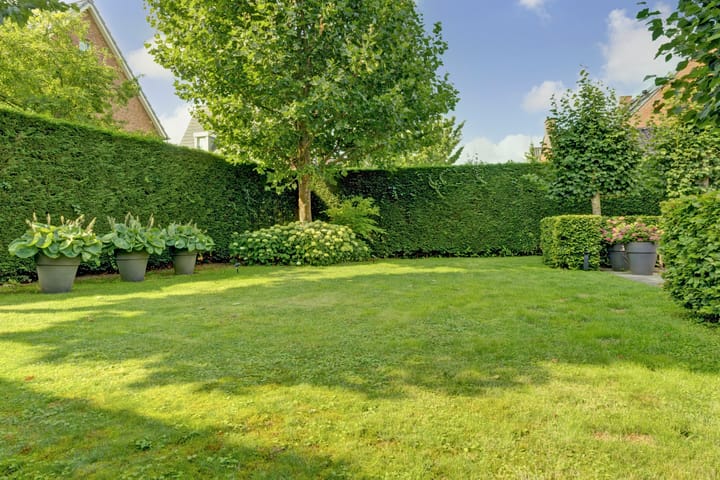 Foto 35 van Romein 10