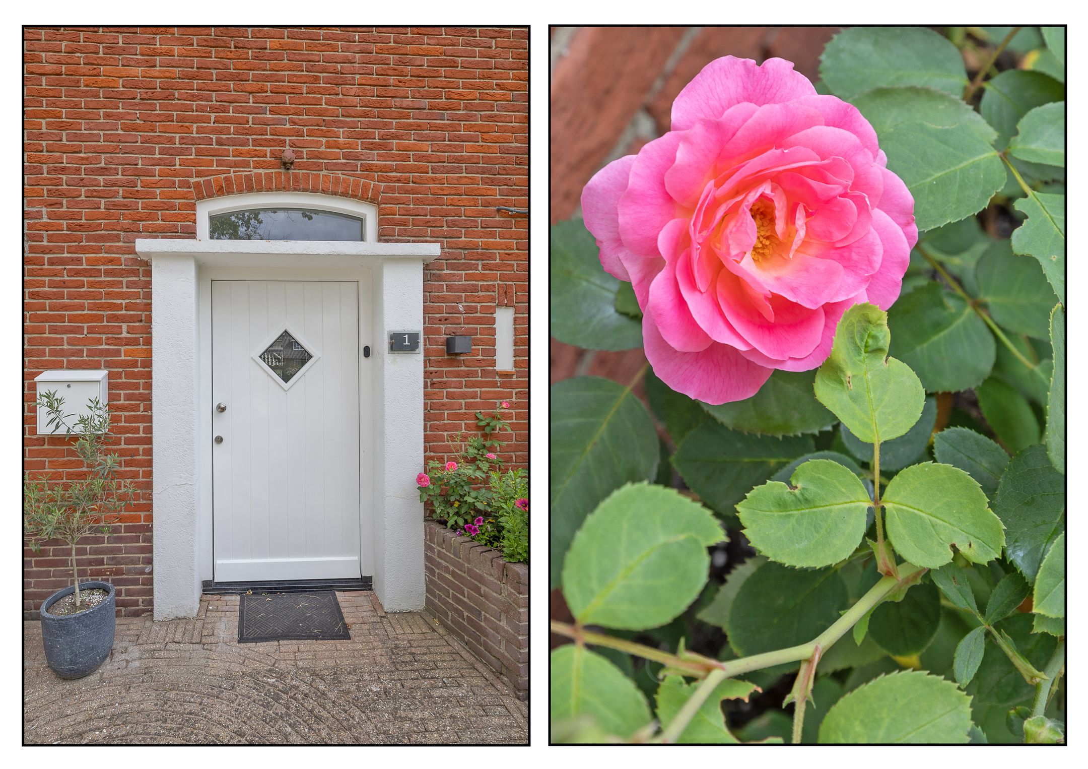 Photo 3 of Catharina van Renneslaan 1