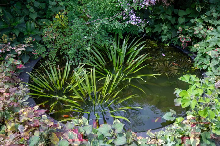 Foto 40 van Aardbolhof 3